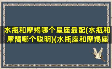 水瓶和摩羯哪个星座最配(水瓶和摩羯哪个聪明)(水瓶座和摩羯座是不是最配的)