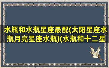 水瓶和水瓶星座最配(太阳星座水瓶月亮星座水瓶)(水瓶和十二星座的配对指数)