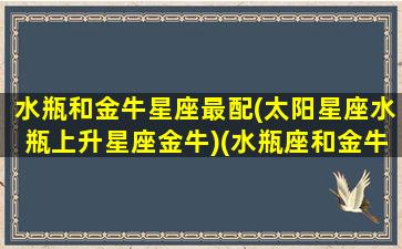 水瓶和金牛星座最配(太阳星座水瓶上升星座金牛)(水瓶座和金牛座搭配率是多少)