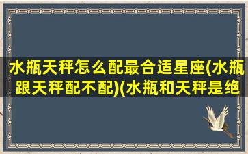 水瓶天秤怎么配最合适星座(水瓶跟天秤配不配)(水瓶和天秤是绝配吗)