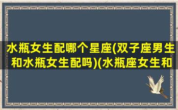 水瓶女生配哪个星座(双子座男生和水瓶女生配吗)(水瓶座女生和双子座男生合适吗)