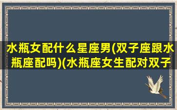 水瓶女配什么星座男(双子座跟水瓶座配吗)(水瓶座女生配对双子男)