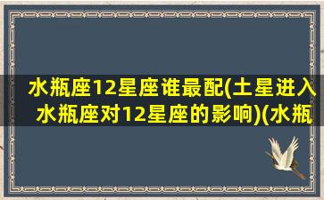 水瓶座12星座谁最配(土星进入水瓶座对12星座的影响)(水瓶座是土星守护吗)