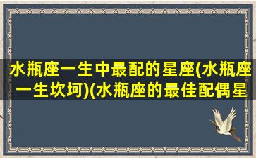 水瓶座一生中最配的星座(水瓶座一生坎坷)(水瓶座的最佳配偶星座)