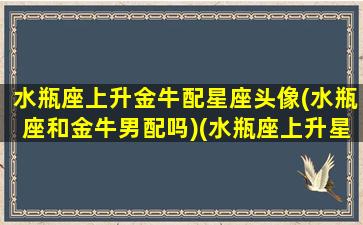 水瓶座上升金牛配星座头像(水瓶座和金牛男配吗)(水瓶座上升星座金牛座的男生)