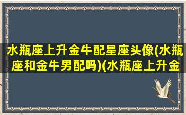 水瓶座上升金牛配星座头像(水瓶座和金牛男配吗)(水瓶座上升金牛座的人)