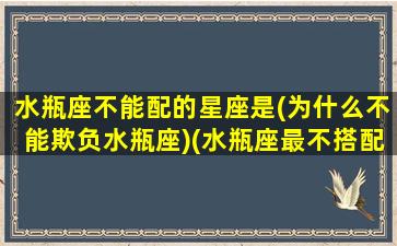 水瓶座不能配的星座是(为什么不能欺负水瓶座)(水瓶座最不搭配的星座)