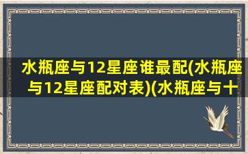 水瓶座与12星座谁最配(水瓶座与12星座配对表)(水瓶座与十二星座的配对指数)