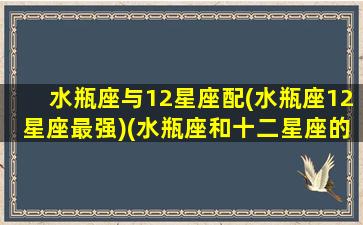 水瓶座与12星座配(水瓶座12星座最强)(水瓶座和十二星座的配对)