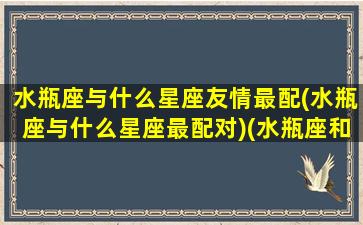 水瓶座与什么星座友情最配(水瓶座与什么星座最配对)(水瓶座和什么星座最配做朋友)