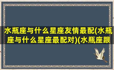 水瓶座与什么星座友情最配(水瓶座与什么星座最配对)(水瓶座跟什么星座是最好的朋友)