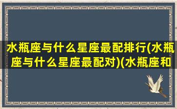 水瓶座与什么星座最配排行(水瓶座与什么星座最配对)(水瓶座和什么星座匹配度最高)