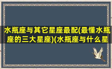 水瓶座与其它星座最配(最懂水瓶座的三大星座)(水瓶座与什么星座配对)