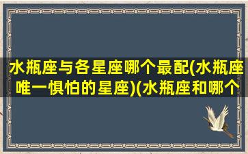 水瓶座与各星座哪个最配(水瓶座唯一惧怕的星座)(水瓶座和哪个星座的最般配)