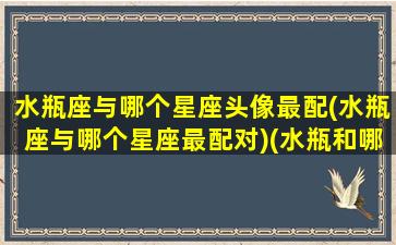 水瓶座与哪个星座头像最配(水瓶座与哪个星座最配对)(水瓶和哪个星座更配)