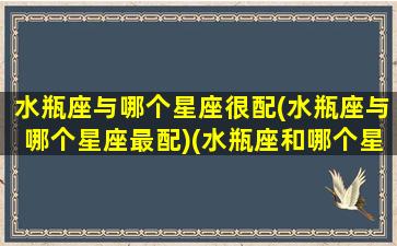 水瓶座与哪个星座很配(水瓶座与哪个星座最配)(水瓶座和哪个星座最配呀)