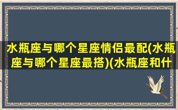 水瓶座与哪个星座情侣最配(水瓶座与哪个星座最搭)(水瓶座和什么星座一对)