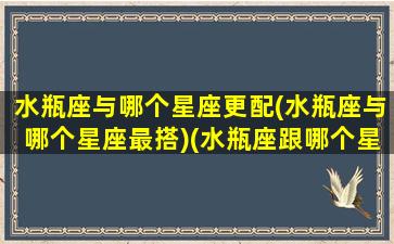 水瓶座与哪个星座更配(水瓶座与哪个星座最搭)(水瓶座跟哪个星座比较合适)