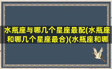 水瓶座与哪几个星座最配(水瓶座和哪几个星座最合)(水瓶座和哪几个星座合得来)