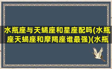 水瓶座与天蝎座和星座配吗(水瓶座天蝎座和摩羯座谁最强)(水瓶座与天蝎座合适吗)