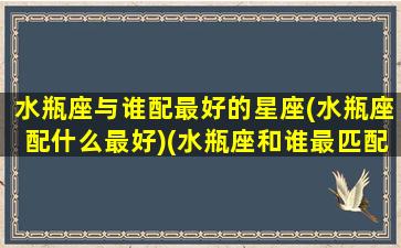 水瓶座与谁配最好的星座(水瓶座配什么最好)(水瓶座和谁最匹配)