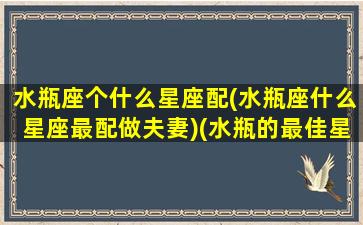 水瓶座个什么星座配(水瓶座什么星座最配做夫妻)(水瓶的最佳星座配对)