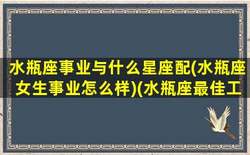 水瓶座事业与什么星座配(水瓶座女生事业怎么样)(水瓶座最佳工作搭档星座)