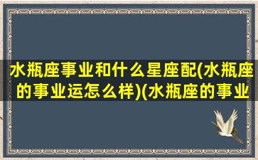 水瓶座事业和什么星座配(水瓶座的事业运怎么样)(水瓶座的事业搭档)