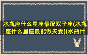 水瓶座什么星座最配双子座(水瓶座什么星座最配做夫妻)(水瓶什么星座最配对指数)