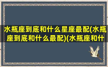 水瓶座到底和什么星座最配(水瓶座到底和什么最配)(水瓶座和什么星座的人最配)