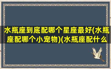 水瓶座到底配哪个星座最好(水瓶座配哪个小宠物)(水瓶座配什么星座好)