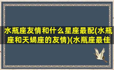 水瓶座友情和什么星座最配(水瓶座和天蝎座的友情)(水瓶座最佳友情星座)