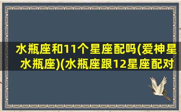 水瓶座和11个星座配吗(爱神星水瓶座)(水瓶座跟12星座配对)