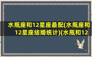 水瓶座和12星座最配(水瓶座和12星座结婚统计)(水瓶和12星座配对指数)