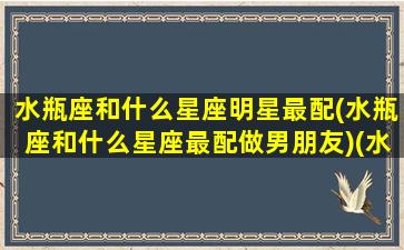 水瓶座和什么星座明星最配(水瓶座和什么星座最配做男朋友)(水瓶座和什么星座最配当情侣)