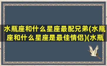 水瓶座和什么星座最配兄弟(水瓶座和什么星座是最佳情侣)(水瓶座跟什么星座最配做情侣)