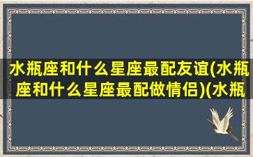 水瓶座和什么星座最配友谊(水瓶座和什么星座最配做情侣)(水瓶座和哪个星座最搭配情侣)