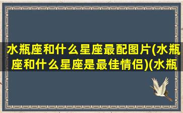 水瓶座和什么星座最配图片(水瓶座和什么星座是最佳情侣)(水瓶座和什么星座般配)