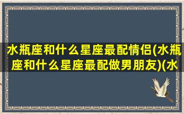 水瓶座和什么星座最配情侣(水瓶座和什么星座最配做男朋友)(水瓶和什么星座最合适)