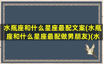 水瓶座和什么星座最配文案(水瓶座和什么星座最配做男朋友)(水瓶座和什么星座最配当情侣)