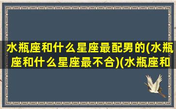 水瓶座和什么星座最配男的(水瓶座和什么星座最不合)(水瓶座和什么座最配对男)