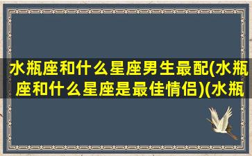 水瓶座和什么星座男生最配(水瓶座和什么星座是最佳情侣)(水瓶座与什么座男相配吗)