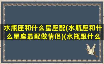 水瓶座和什么星座配(水瓶座和什么星座最配做情侣)(水瓶跟什么星座最配当情侣)