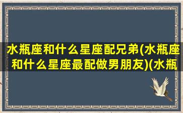 水瓶座和什么星座配兄弟(水瓶座和什么星座最配做男朋友)(水瓶跟什么星座最匹配)