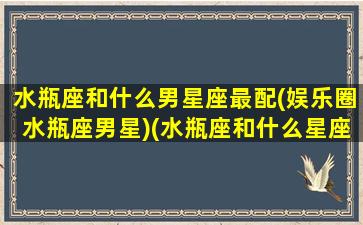 水瓶座和什么男星座最配(娱乐圈水瓶座男星)(水瓶座和什么星座的男生最配结婚)