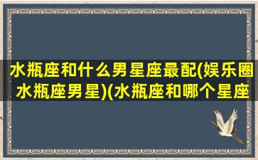 水瓶座和什么男星座最配(娱乐圈水瓶座男星)(水瓶座和哪个星座的男生最般配)