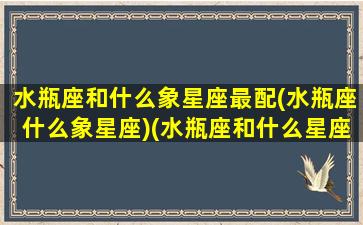 水瓶座和什么象星座最配(水瓶座什么象星座)(水瓶座和什么星座最有缘)