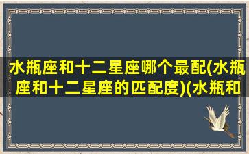 水瓶座和十二星座哪个最配(水瓶座和十二星座的匹配度)(水瓶和12星座)