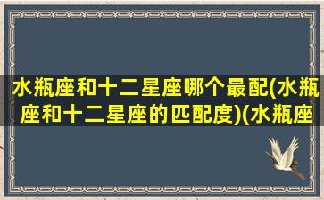 水瓶座和十二星座哪个最配(水瓶座和十二星座的匹配度)(水瓶座和12星座谁最般配)