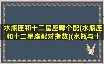 水瓶座和十二星座哪个配(水瓶座和十二星座配对指数)(水瓶与十二星座配对)